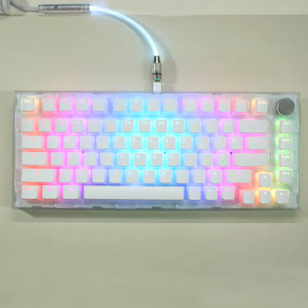104 Keys Pudding Keycap Set – OEM Profile ABS PBT Double Shot for MX Switch Mechanical Keyboards | RGB Backlit Compatibility